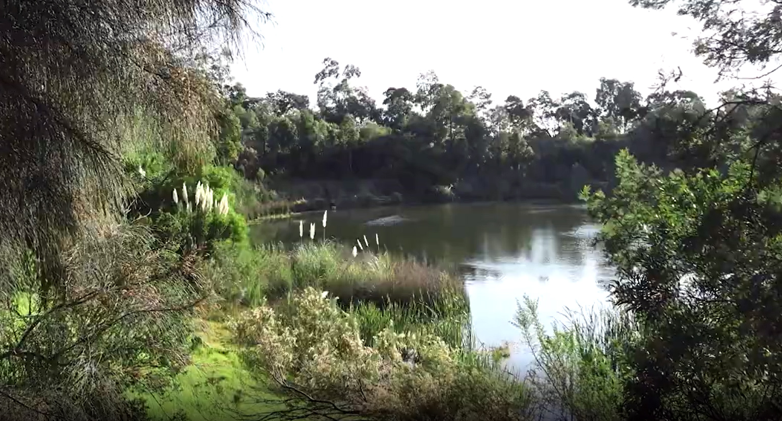 Our road to carbon neutrality