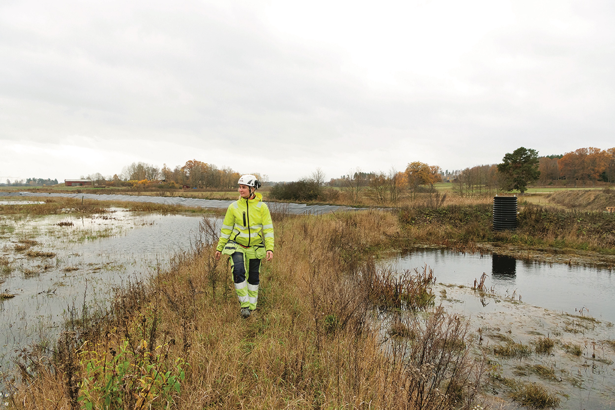 Woman with construction helmet standing in a wetland