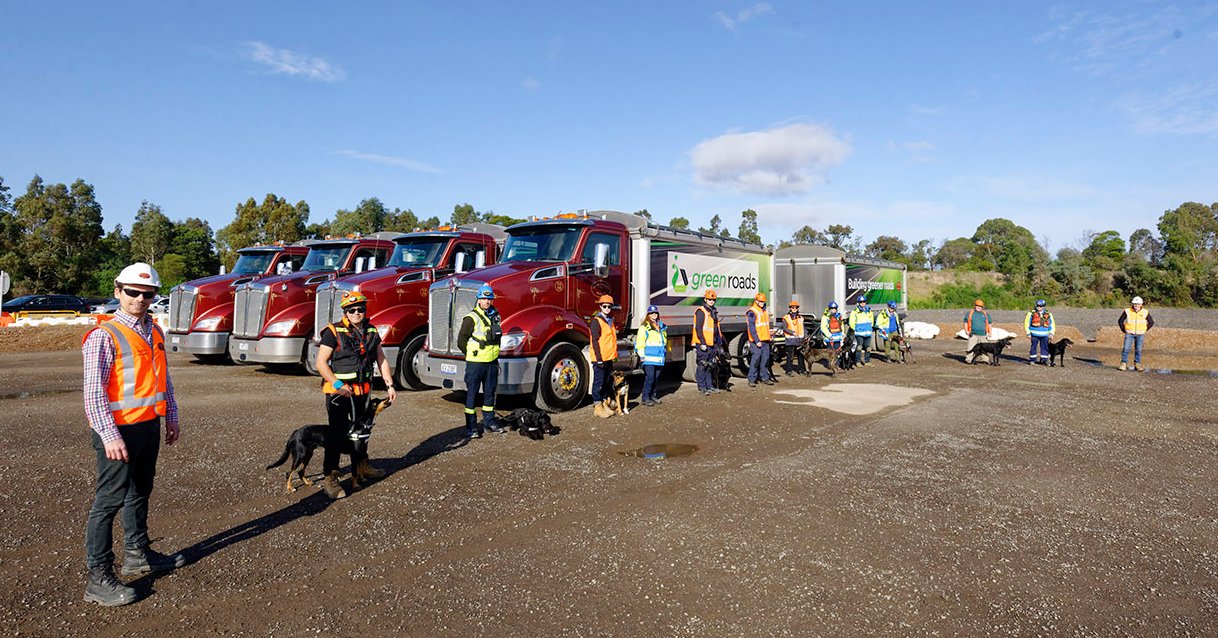 A group of volunteers with their rescue dogs in front of trucks