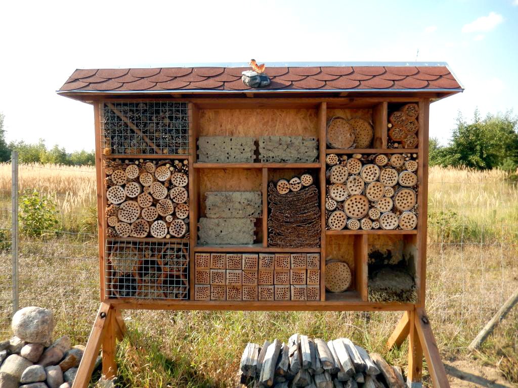 A bee-hotel on a field