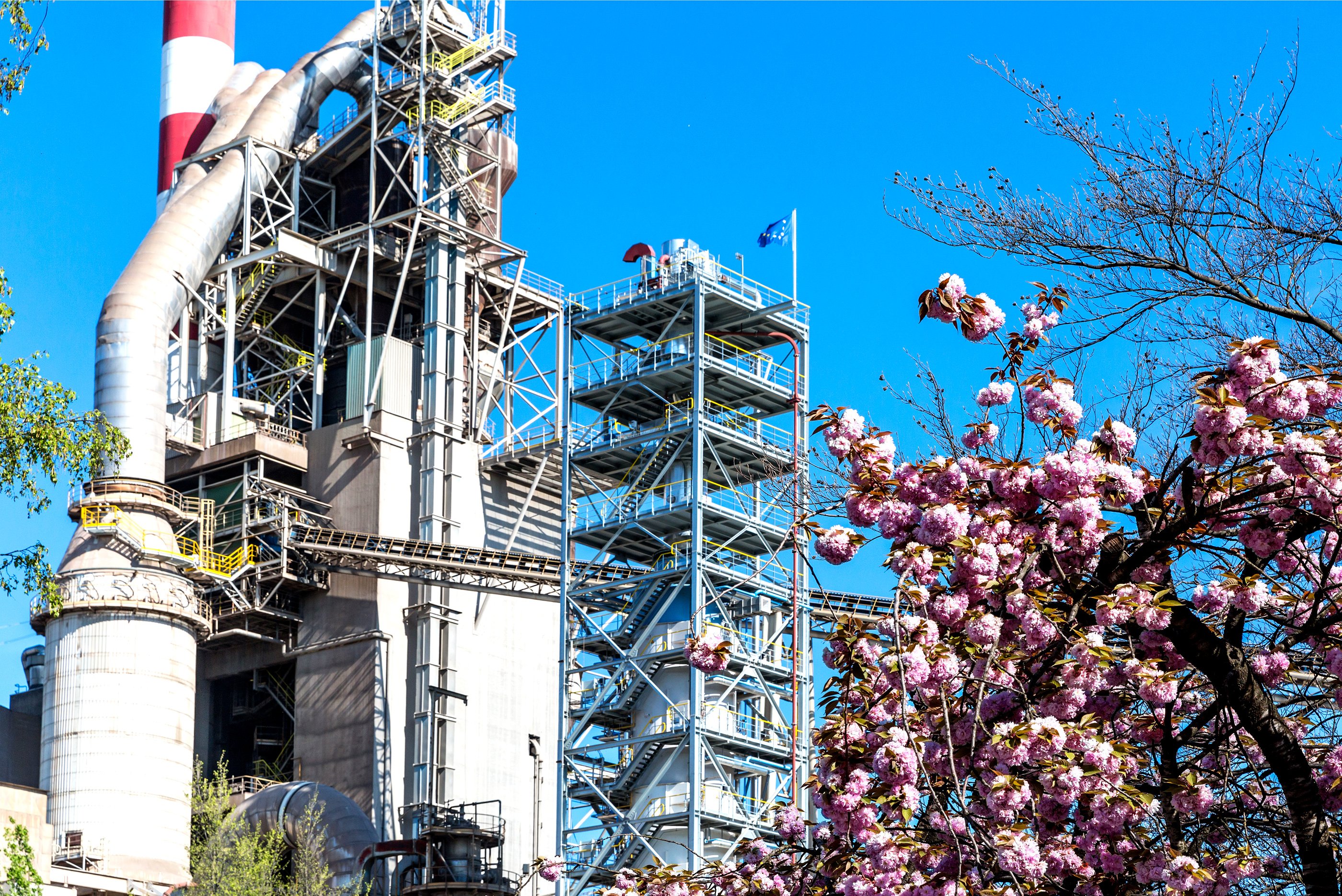 A cement plant and a cherry blossom tree
