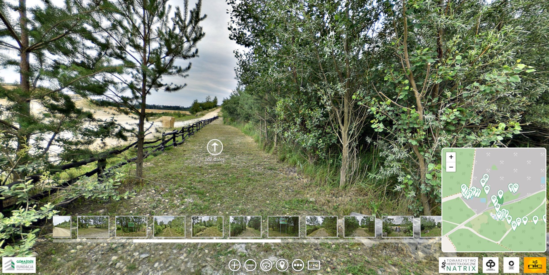 A path in nature, bushes grow on both sides