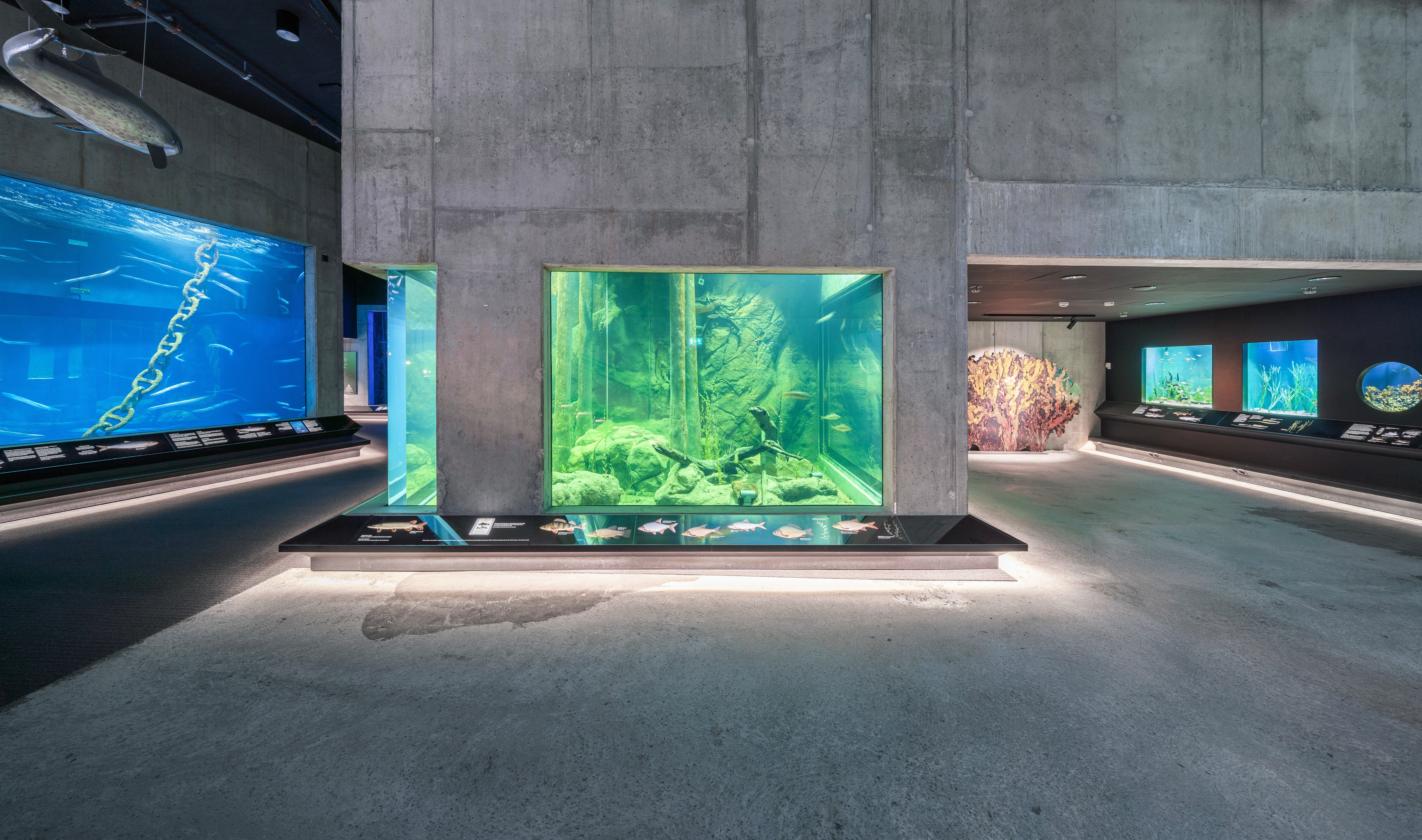 An aquarium in the middle of a large interior; the aquarium tank, walls and ceiling are made out of concrete.