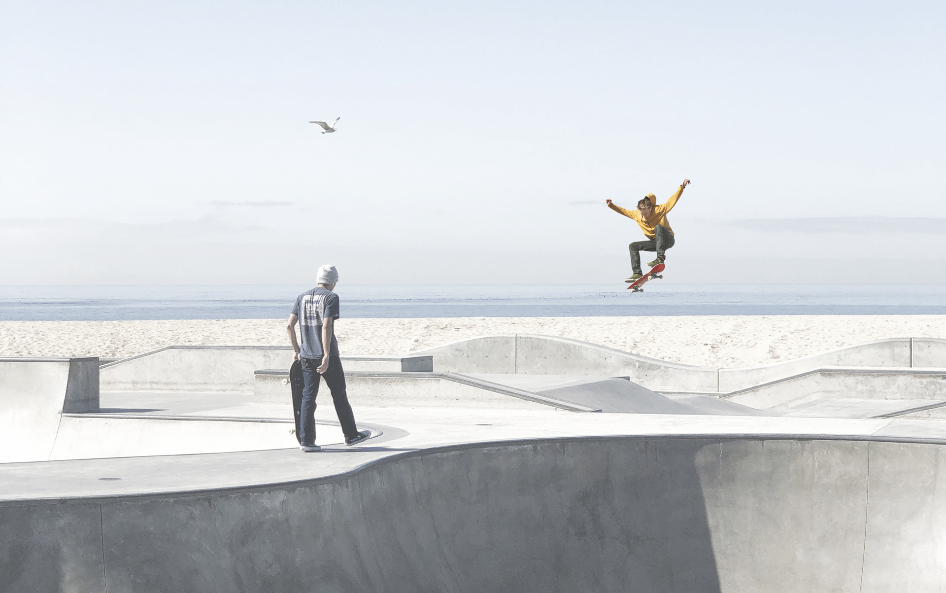 Two skaters in a concrete skate park, one jumping, the other holding his board. The sea and a seagull can be seen in the background.