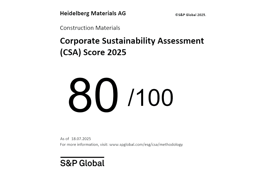 S&P Global CSA Score: 80/100