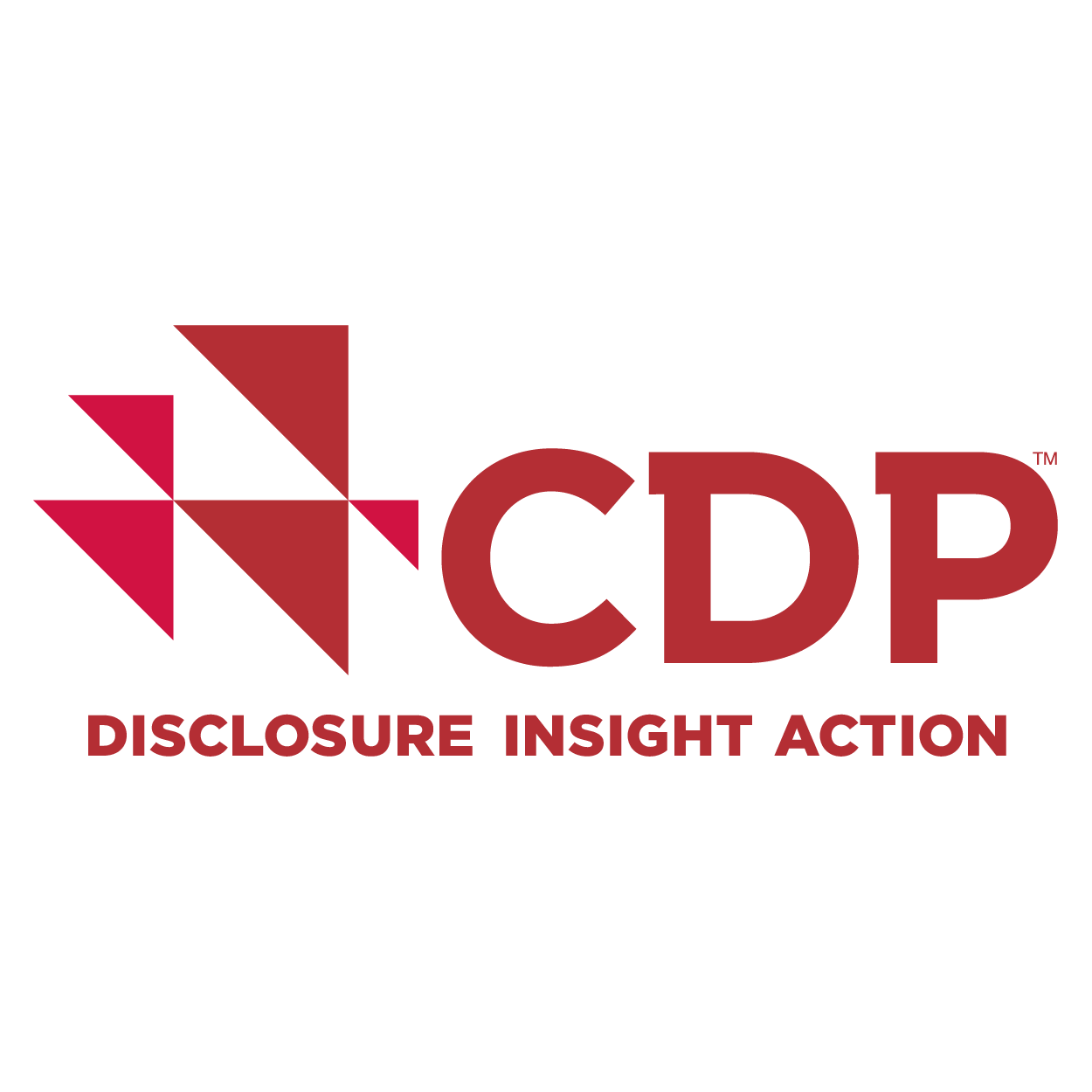 Das CDP-Logo mit den Buchstaben CDP in rot und einem stilisierten Design dahinter. Der Slogan "DISCLOSURE INSIGHT ACTION" ist darunter dargestellt.