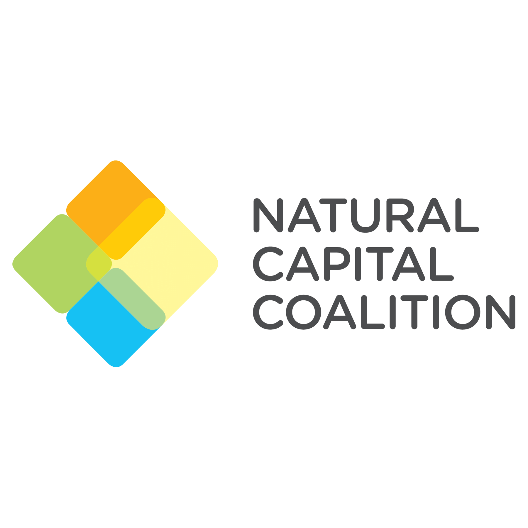 Das Logo der Natural Capital Coalition. Es zeigt ein buntes Quadrat aus vier kleineren Quadraten, mit dem Text NATURAL CAPITAL COALITION daneben.