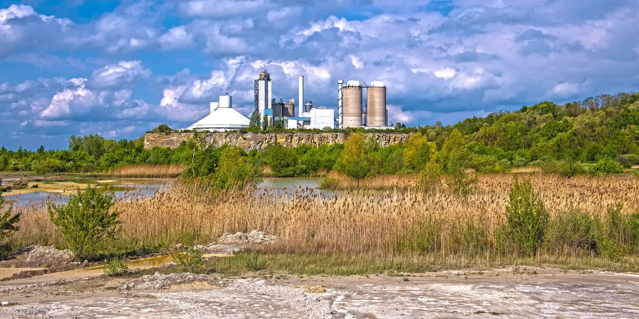 A lake covered with reed in front of a cement plant