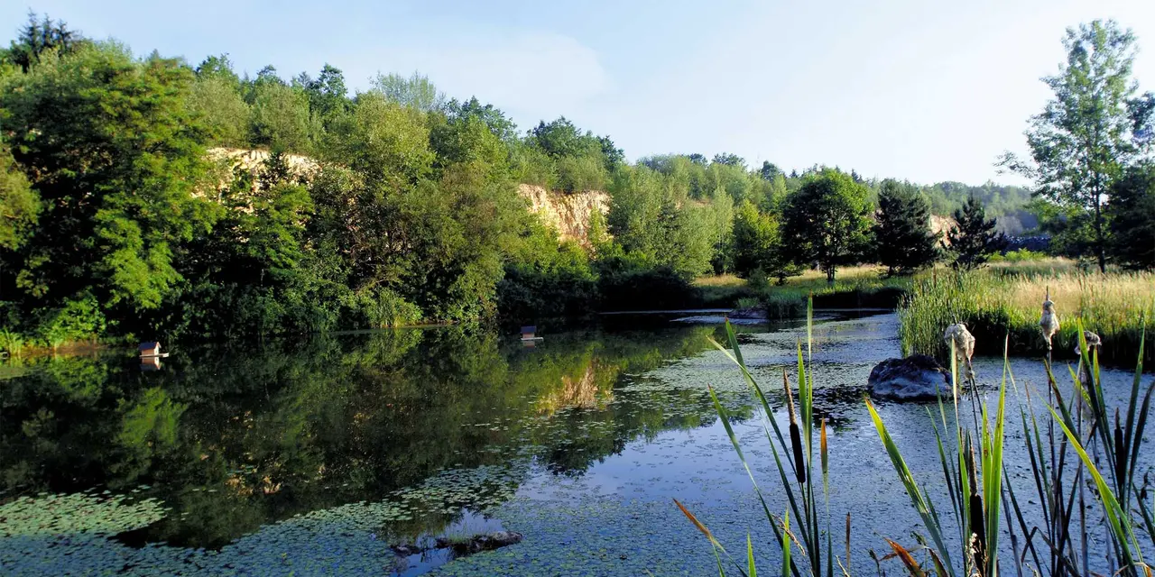 A serene pond surrounded by lush greenery and a rocky outcrop under a clear blue sky