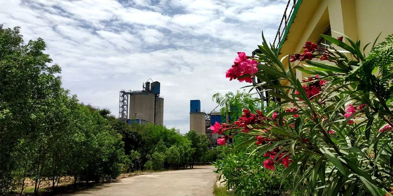 Ein friedlicher Weg umgeben von üppigem Grün und leuchtend rosa Oleanderblüten rechts, der zu Industriesilos unter einem teilweise bewölkten Himmel führt.