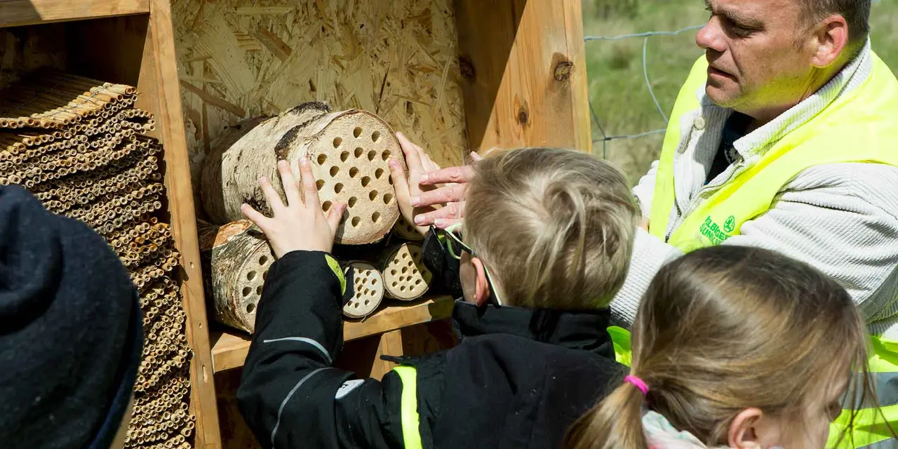 Gruppe von Personen, die ein großes Insektenhotel aus Holz untersuchen, beteiligt an einer Bildungsaktivität. Eine Person zeigt auf einen Abschnitt des Insektenhotels.