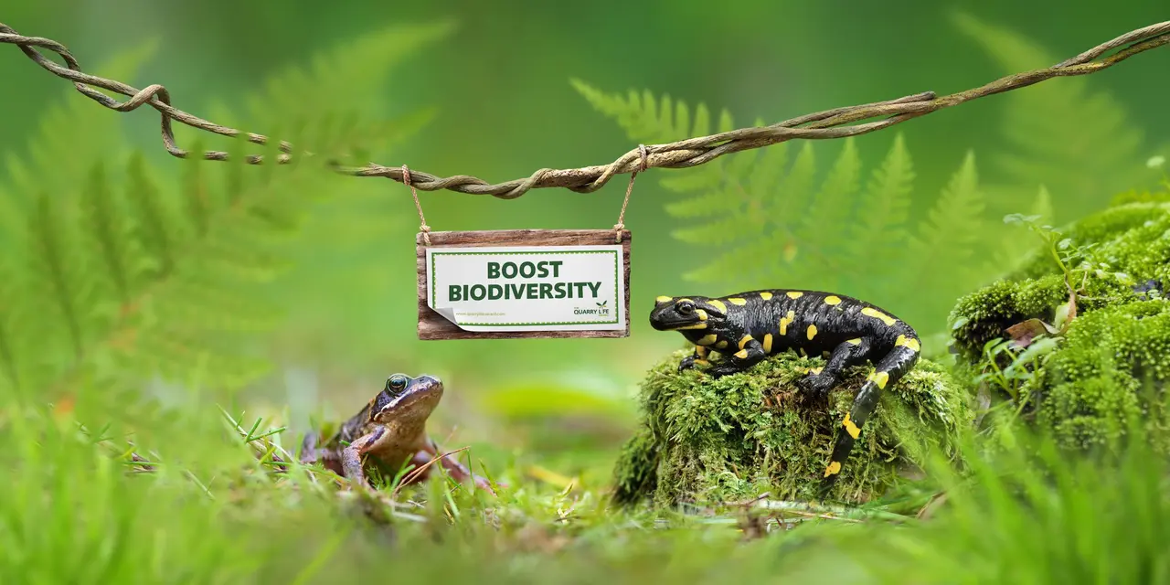 Ein Frosch und ein Molch sitzen in einem üppigen, grünen Wald. Ein kleines Holzschild mit den Worten "BOOST BIODIVERSITY" hängt zwischen ihnen.