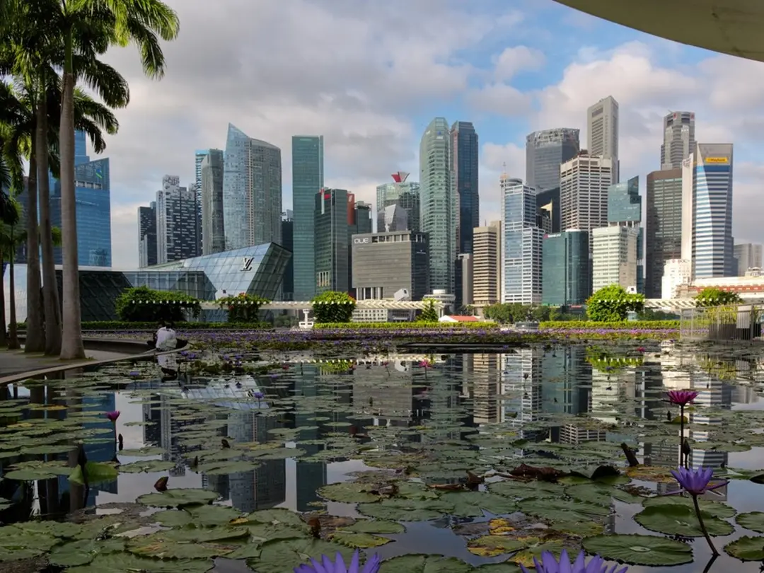Ansicht der Skyline von Singapur mit modernen Hochhäusern im Hintergrund. Im Vordergrund ein ruhiger Teich mit Seerosen und violetten Blüten. Links Palmen und rechts die geschwungene Überdachung eines Gebäudes. Heller Himmel mit vereinzelten Wolken im Hintergrund.