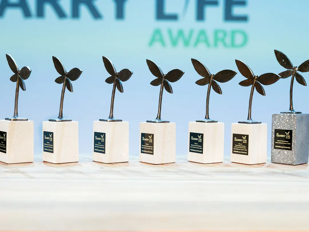 Seven awards are arranged in a row on a light-coloured surface. Each trophy features a metallic sculpture of three leaves on a white rectangular base, with the exception of the final one, which has a silver base. The background displays partial blue text reading "LIFE AWARD."
