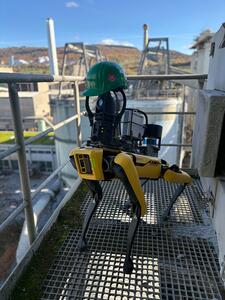 A robotic dog wearing a green safety helmet stands on a metal platform at a cement plant.